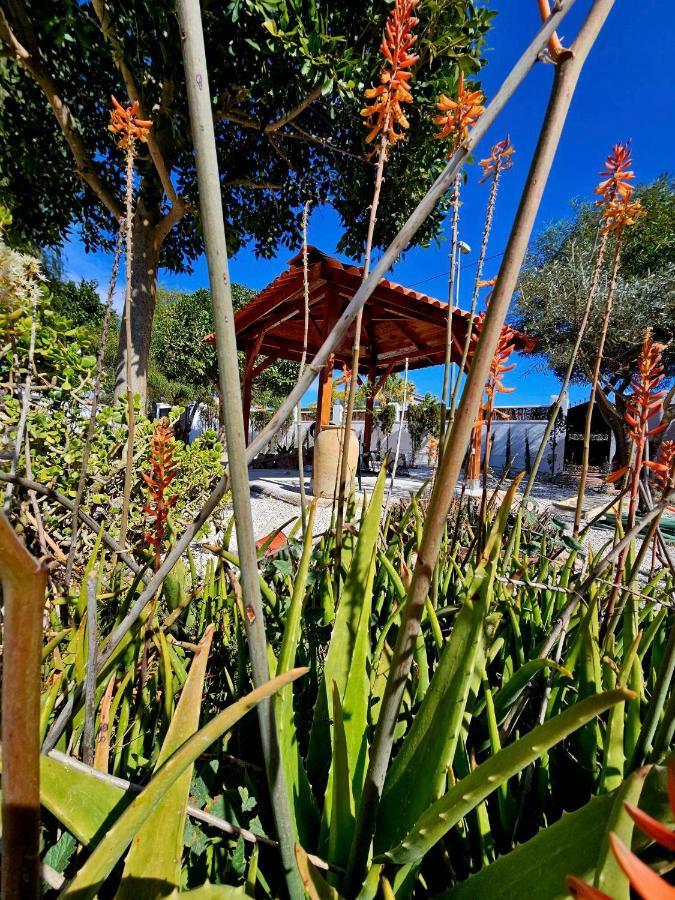 Chalet Alicante Sol Y Luz San Vicente Raspeig المظهر الخارجي الصورة